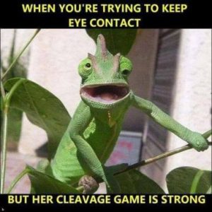Stupid Bar Memes 52338b04ae80e8d1