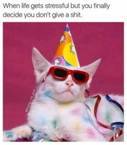 Stupid Bar Memes 5513dc01c7316122