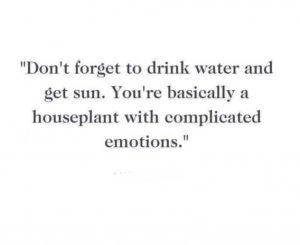 Stupid Bar Memes 567ab2d160981ddc