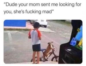Stupid Bar Memes 56e8a5dab4dfce72