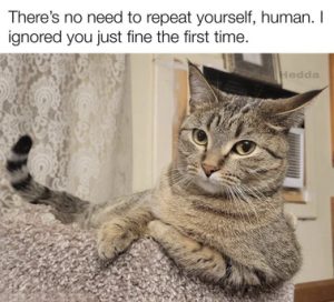 Stupid Bar Memes 6949b28f757192ce