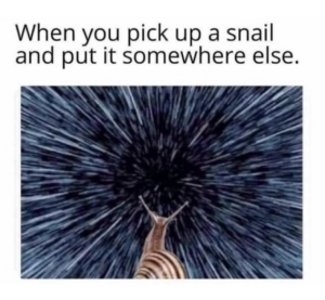 Stupid Bar Memes 6b37f38bf9323830