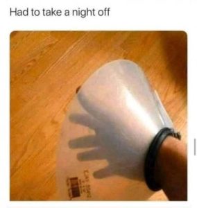 Stupid Bar Memes 6c2b82237dfb4819