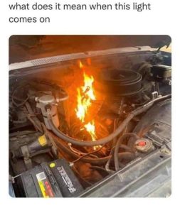 Stupid Bar Memes 6dppMzj