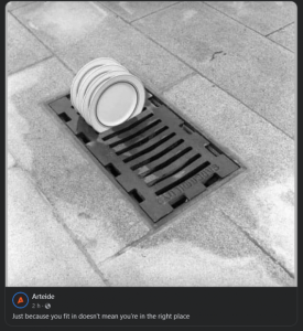 Stupid Bar Memes 70311c0b056bf3e0