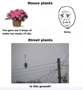 Stupid Bar Memes 71d8f4d10b9a4161