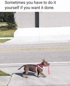 Stupid Bar Memes 7662cc09017dca4e