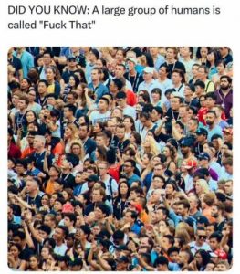 Stupid Bar Memes 76bc02d686293855