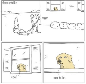Stupid Bar Memes 7acf1bfc6dee015d