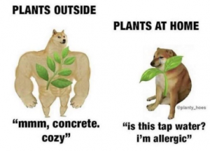 Stupid Bar Memes 7b485a0f41d2cd06