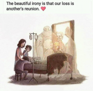 Stupid Bar Memes 7d670eef619fdbcc