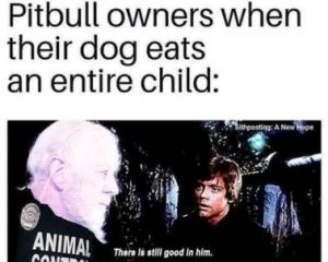 Stupid Bar Memes 7f2da8c239c50a94