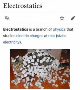 Stupid Bar Memes 80c05bc63eccbff0