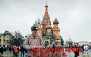 Stupid Bar Memes 813dbaf1b71bb27f