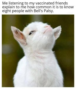 Stupid Bar Memes 83b4a2ce77e8e5e6