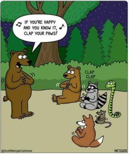 Stupid Bar Memes 88caf6e40adff120