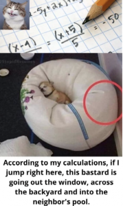 Stupid Bar Memes 89c7de1ce2eea015