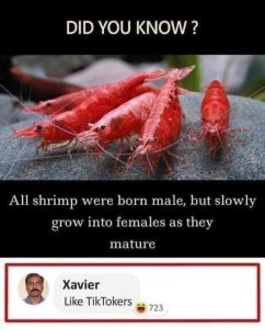 Stupid Bar Memes 8bb7eba68e876911