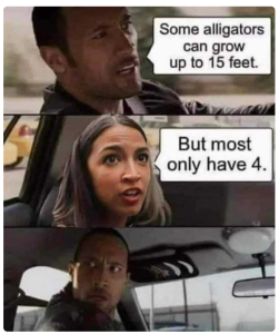Stupid Bar Memes 8bc76316145ebc80
