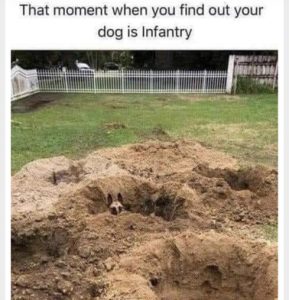 Stupid Bar Memes 8e9e0d752ae074ba