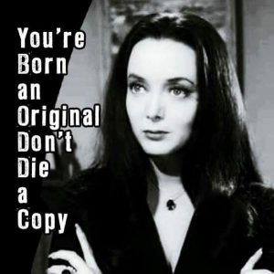 Stupid Bar Memes 8f7ddbe622e92373