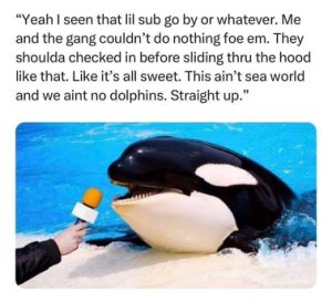 Stupid Bar Memes 91da1c7f9102e6a3