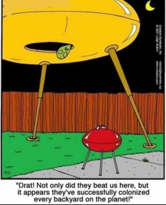 Stupid Bar Memes 9224aa59906c2af4