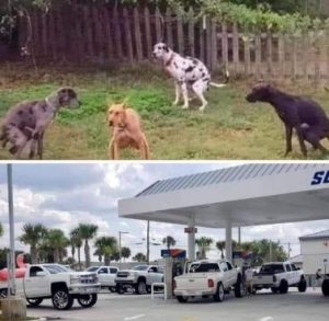 Stupid Bar Memes 929a9482fd6e5660