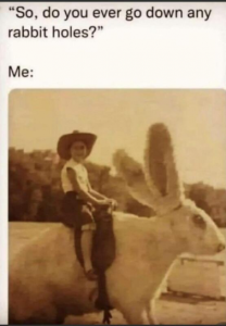 Stupid Bar Memes 949fff6badf9063a