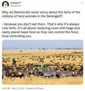 Stupid Bar Memes 968264dc2f5de851