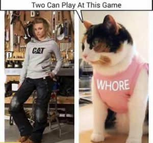 Stupid Bar Memes 97acbcc7f8ab91d0