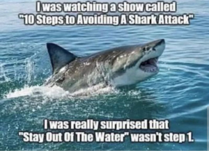 Stupid Bar Memes 989de1c006a958d7