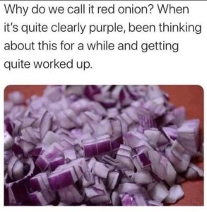 Stupid Bar Memes BtBvUYZ