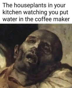Stupid Bar Memes Dm4DYYL e1685839611461