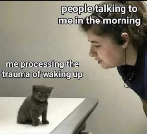 Stupid Bar Memes IMGs5684