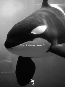 Stupid Bar Memes IMGs5799