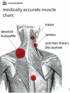 Stupid Bar Memes IrNgW1l