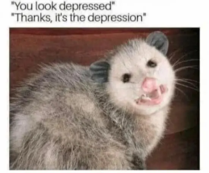 Stupid Bar Memes Xq6p4JG