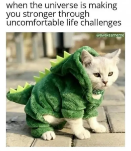 Stupid Bar Memes ZcopisW