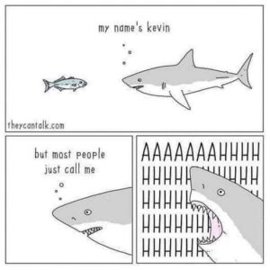 Stupid Bar Memes a04MYNqs700b