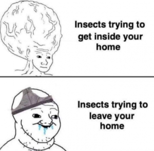 Stupid Bar Memes a2692b5cf51d0195