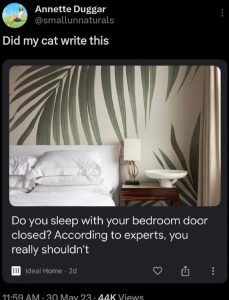 Stupid Bar Memes a3Z2rdQs700b