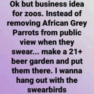 Stupid Bar Memes a40b7f7e5afa8351