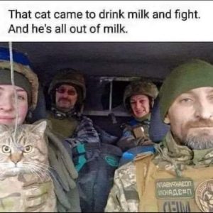 Stupid Bar Memes a40faf7957b0e241