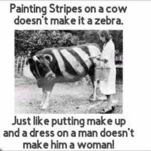 Stupid Bar Memes a460078fe1c03013