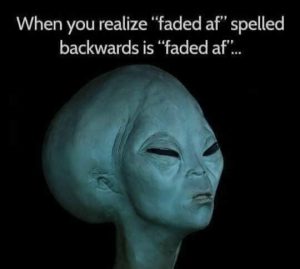 Stupid Bar Memes a76528813477e242