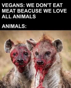 Stupid Bar Memes a92f19544f685177
