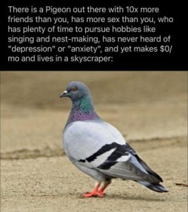 Stupid Bar Memes a9a908a8595c8df1