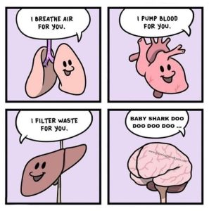 Stupid Bar Memes aBdOYv2s700b