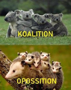 Stupid Bar Memes aPgX3EKs700b